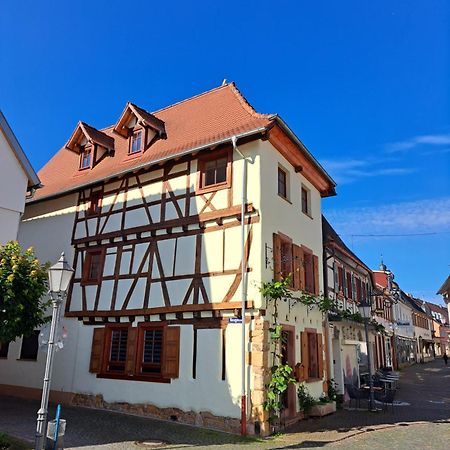 Gaestehaus Merlin Mit Saunabereich Бад-Бергцаберн Экстерьер фото